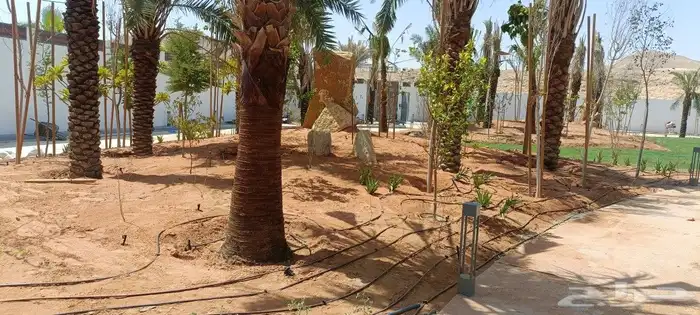 زراعه وتنسيق 3
