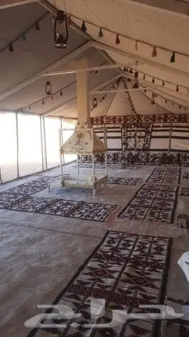 خيام بيض بيوت شعر ابيض تجهيز مخيمات 1