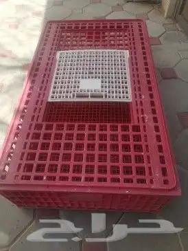 أقفاص لتحميل ونقل الطيور للأجار فقط 0