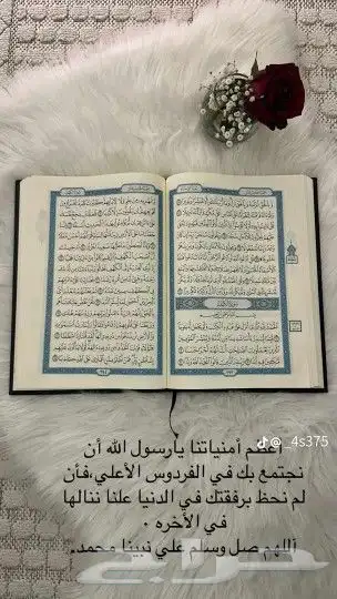 تريله سطحه لنقل البضايع 0