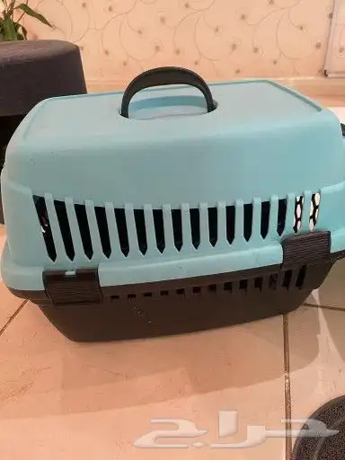 مستلزمات قطط 1