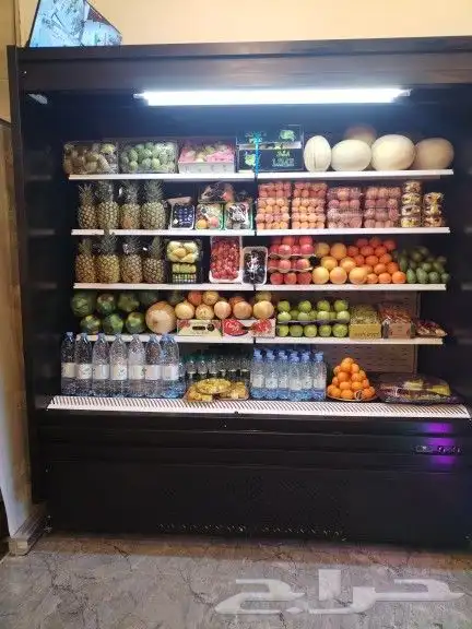 ثلاجات عرض تبريد وتجميد تفصيل 4