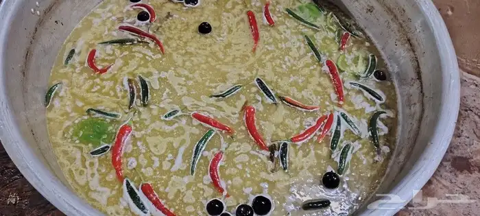 طباخ متنقل ظاخل وخارج الرياض 4