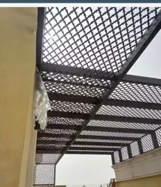 مظلات وسواتر نيوم 20