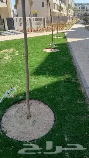 لاند سكيب تنسيق حدائق وزراعة 9