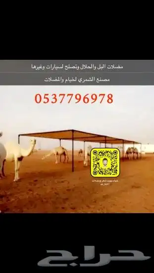 بيوت شعر خيام هرميه مضلات طرابيل اغطيه كراسي جلسات تابي تمار 13