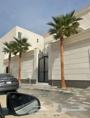 نخل واشنطني زينه 3