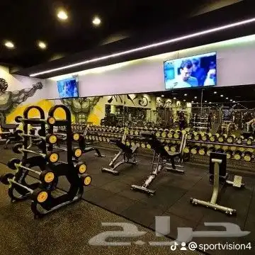 توريد أجهزه رياضيه 7