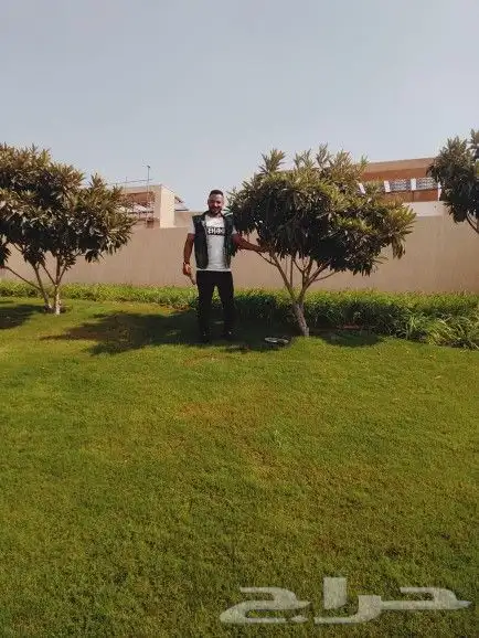 لاند سكيب تنسيق حدائق وزراعة 1