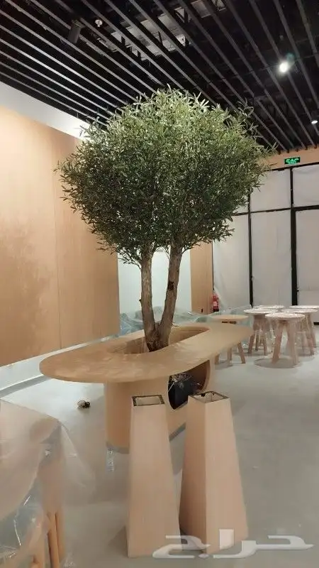 زيتون صناعي جذوع طبيعي 9