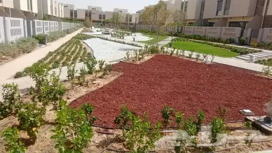 لاند سكيب تنسيق حدائق وزراعة 8