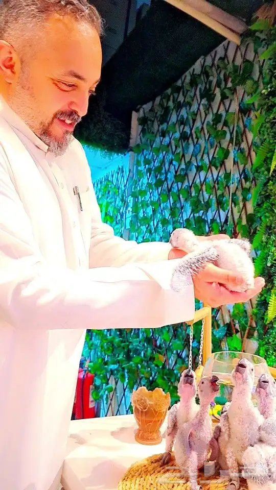 فروخ كاسكو إنتاج محلي 2750ريال تم البيع 0