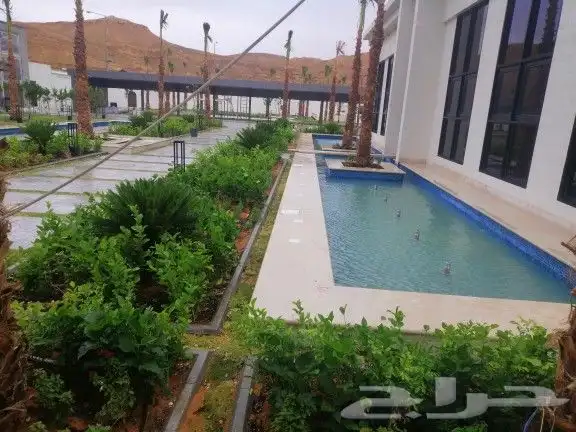 عشب طبيعي 12