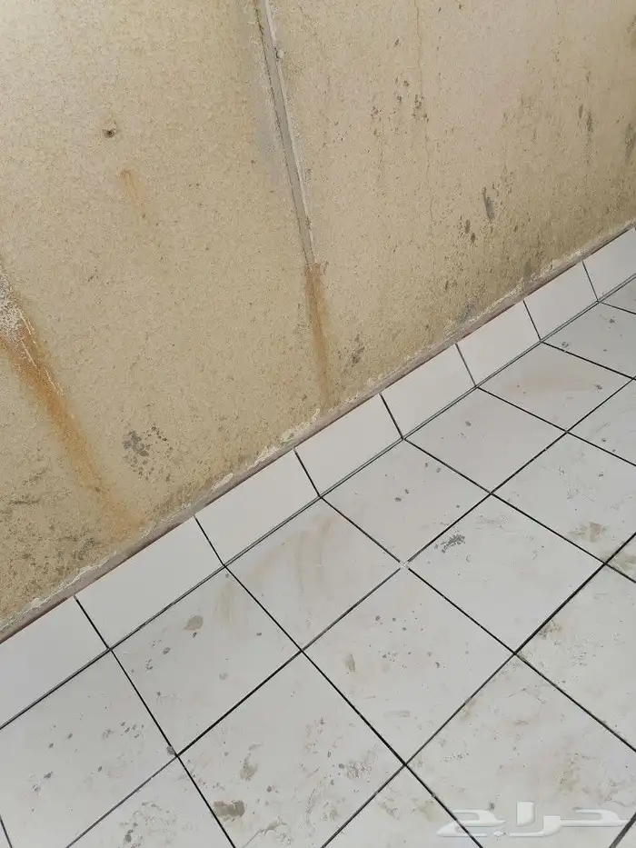 مبلط محمد باكستاني 8