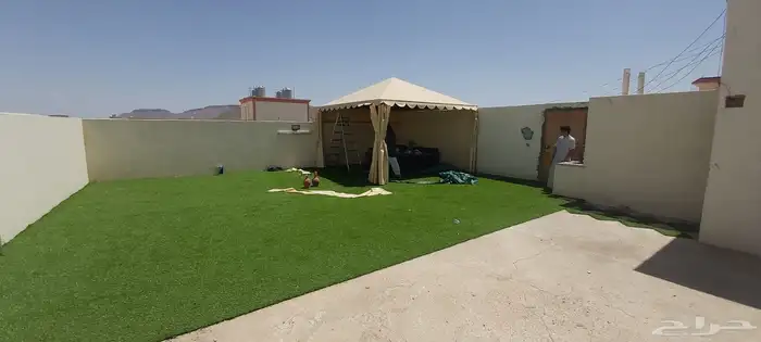 بيوت شعر ملكيه 45