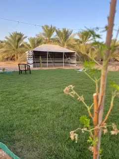 بيت شعر ألاسود خيمة شعر بيت شعر ألابيض خيمة بيضة 8