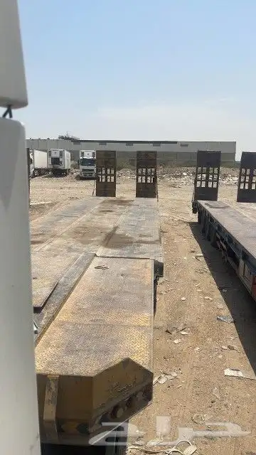 لوبد في القصيم 1