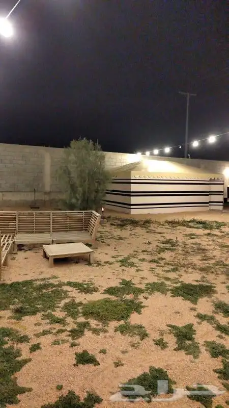 بيوت شعر ملكيه 8