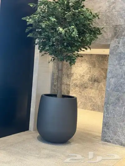 مزارع 1