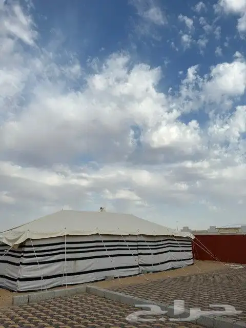 خيام بيض بيوت شعر ابيض تجهيز مخيمات 2