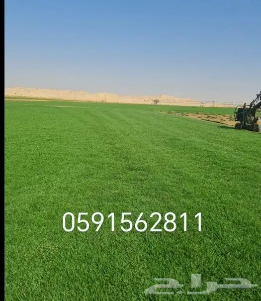 توريد وتركيب الثيل الطبيعي 10