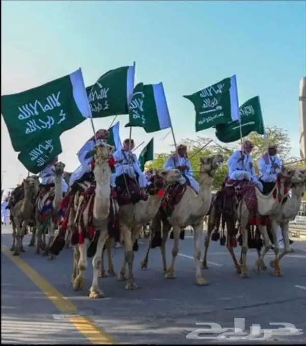 اجار جمال واخيول رحايل وراكبي 0