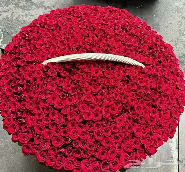 ورد هدايا بوكهات حجم كبييير كيك كوفي باتشي بستاني سلاسل مارك 3