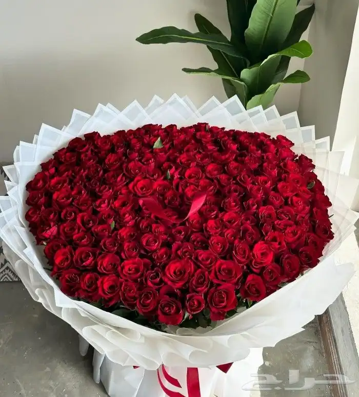 ورد هدايا بوكهات حجم كبييير كيك كوفي باتشي بستاني سلاسل مارك 5