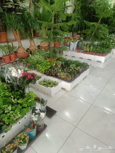 مزارع 2