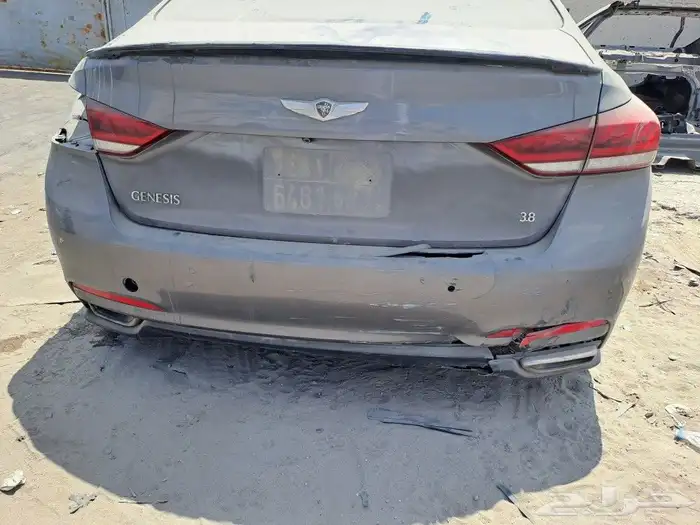 صطبات أصلية جنسيس 2015-2016 0