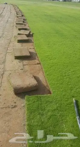 مزرع الخرج لتيل 8