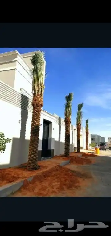 جميع انواع انخيل 2