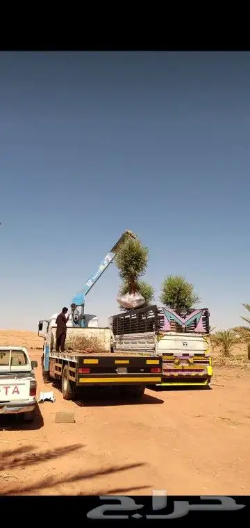 جميع انواع انخيل 5
