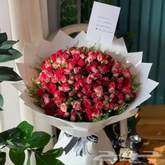 هدايا و ورد خميس مشيط ابهاء احد رفيده الواديينسراة عبيده الح 3