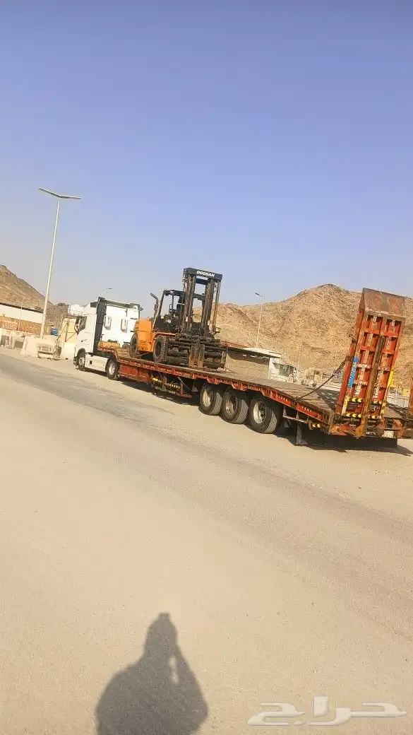 لوبد متوجد في الجوف 0
