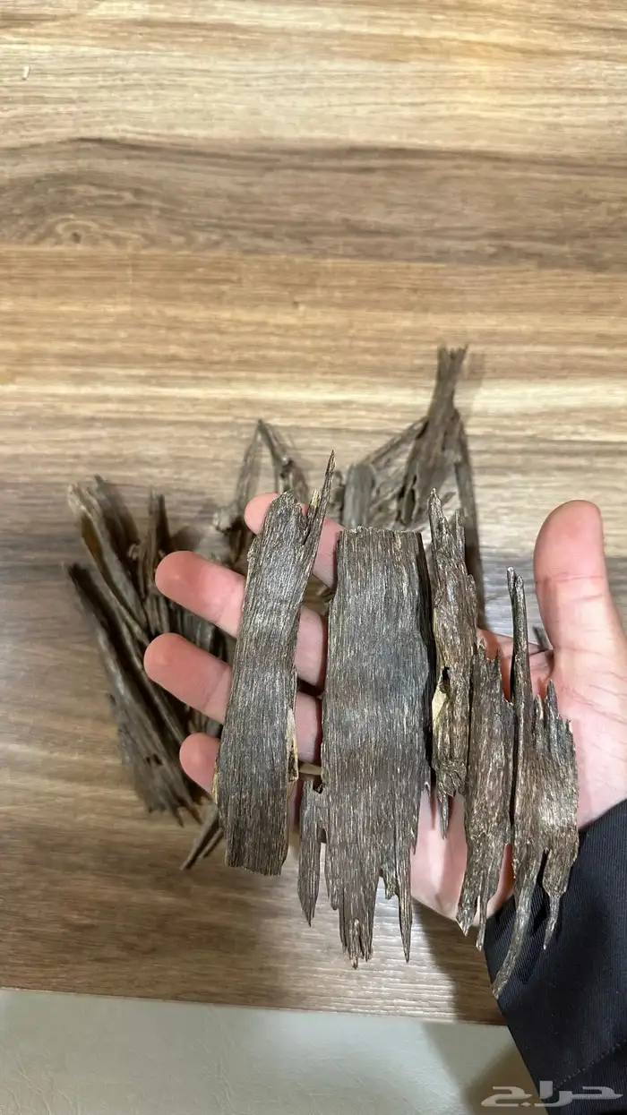 عود طبيعي فاخر 2