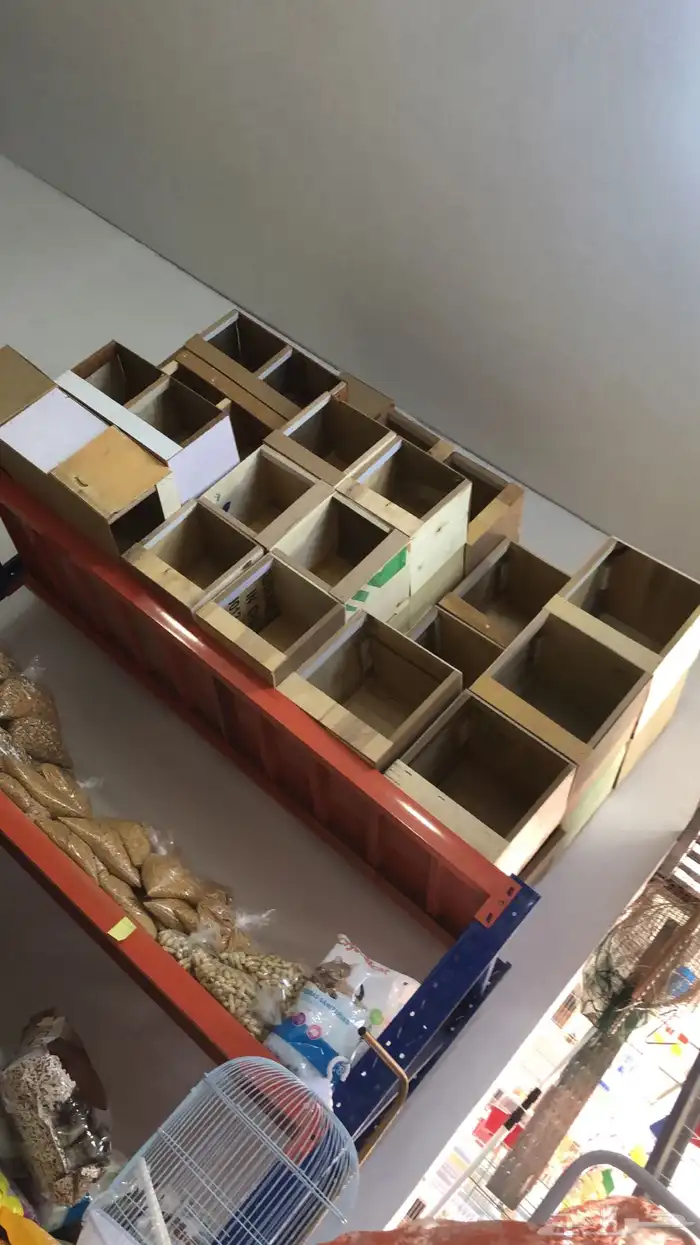 مخافق حمام بياضات بياض عش طيور 0