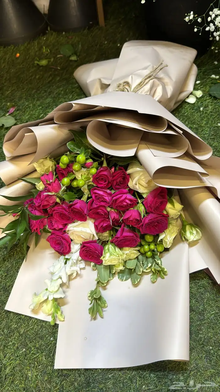 تشريع سيارات عرسان 29