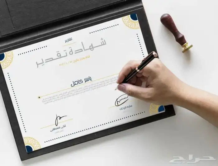 مصمم محترف 2