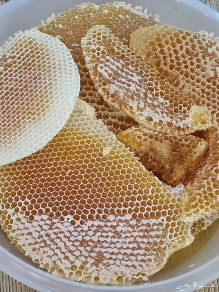 افضل انواع العسل 16