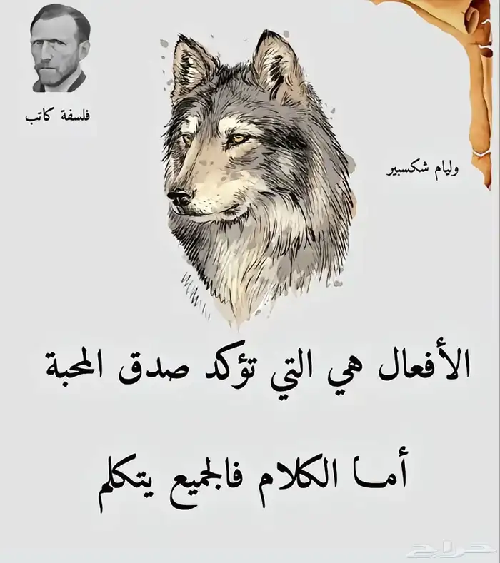 شوزات 5