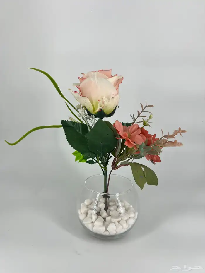 مصور الاحساء   تصوير منتجات بأحدث المعدات الأحساء 10