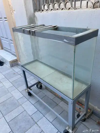 حوض سمك 0