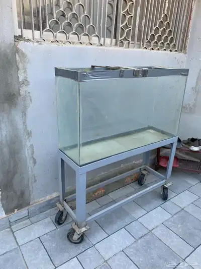 حوض سمك 2