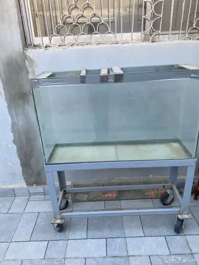 حوض سمك 1