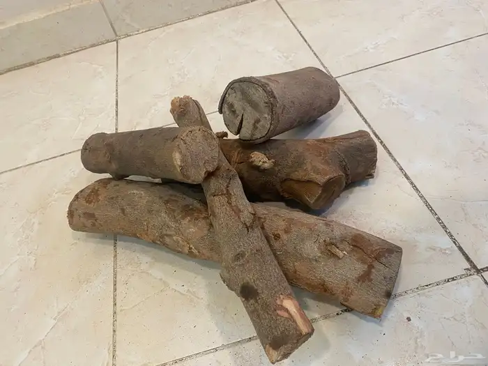 حطب وفحم جملة جودة وسعر 1