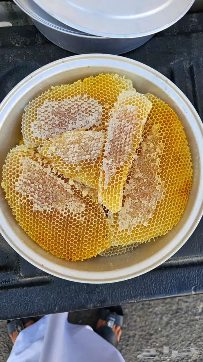 افضل انواع العسل 23