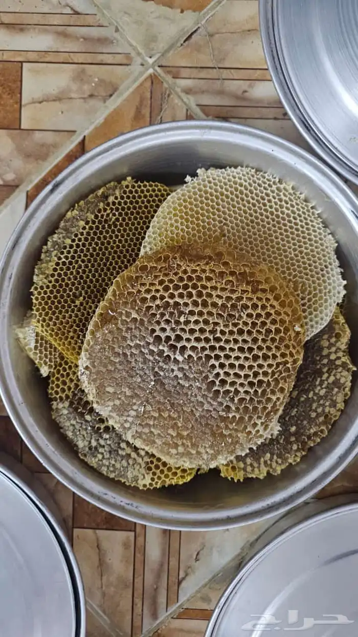 افضل انواع العسل 14