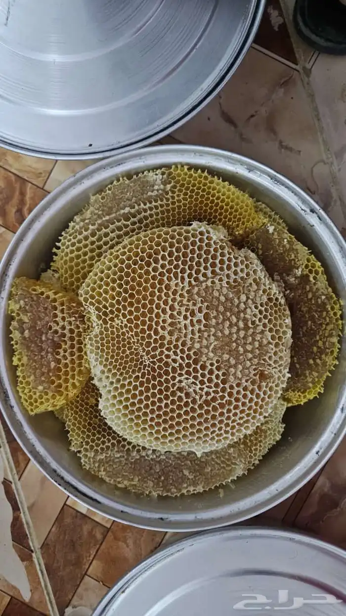 افضل انواع العسل 13