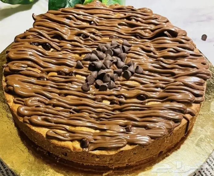 حلا وكوكز نوف جده 7